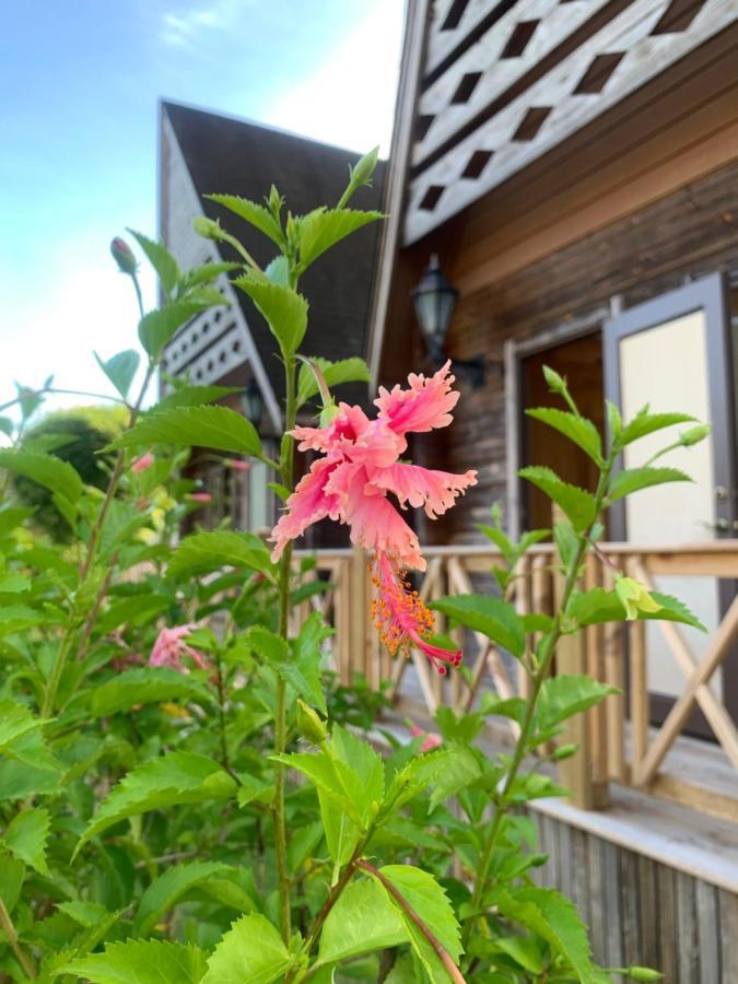 Island Paradise Resort Club โครอร์ ภายนอก รูปภาพ